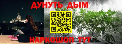 Альфа ПВП Будённовск