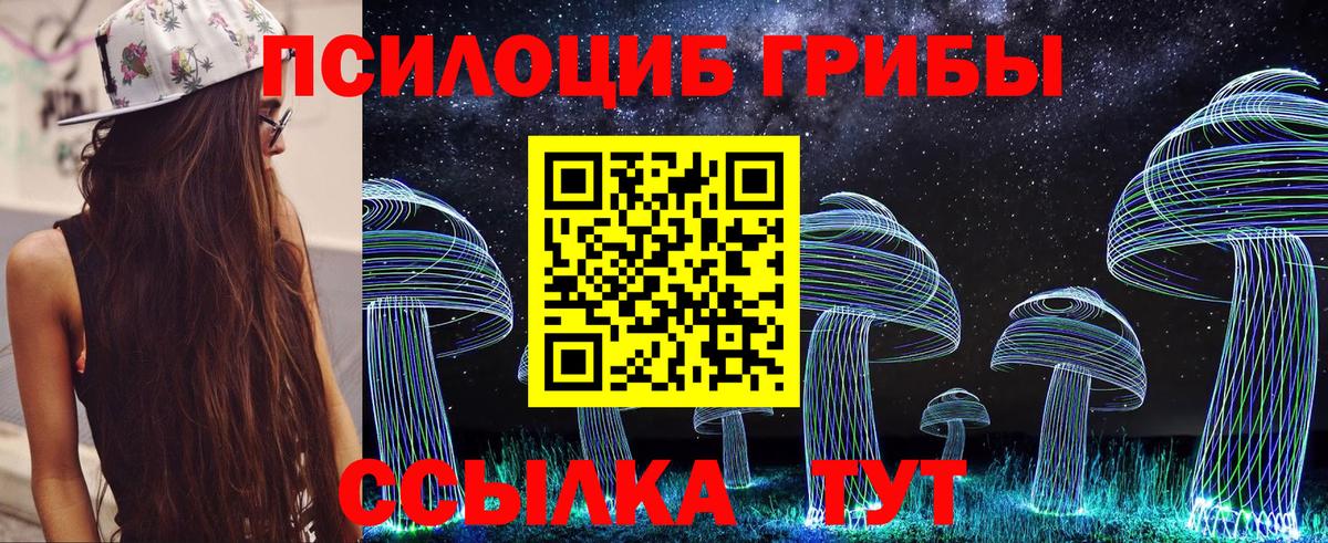 Псилоцибиновые грибы GOLDEN TEACHER Печора